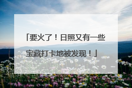 要火了！日照又有一些宝藏打卡地被发现！