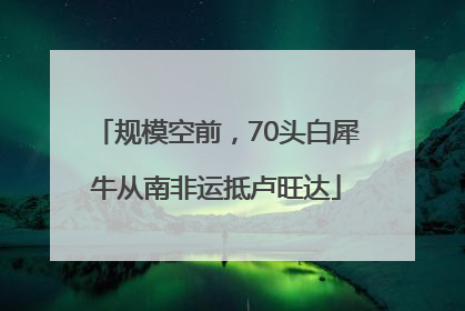 规模空前，70头白犀牛从南非运抵卢旺达