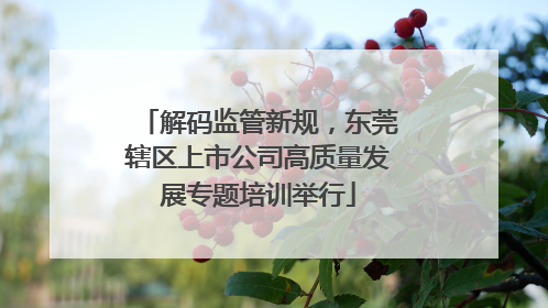 解码监管新规，东莞辖区上市公司高质量发展专题培训举行