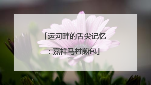运河畔的舌尖记忆：嘉祥马村煎包