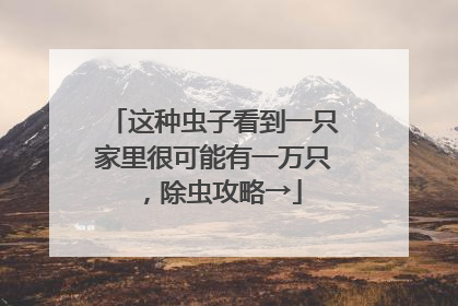 这种虫子看到一只家里很可能有一万只，除虫攻略→