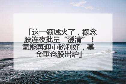 这一领域火了，概念股连夜批量“澄清”！氢能再迎重磅利好，基金重仓股出炉
