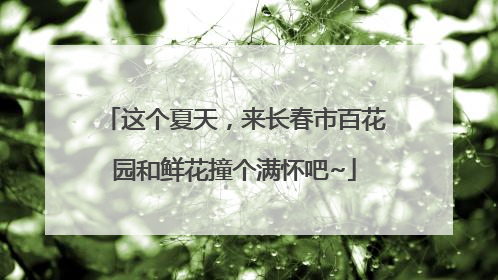 这个夏天，来长春市百花园和鲜花撞个满怀吧~