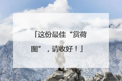 这份最佳“赏荷图”，请收好！