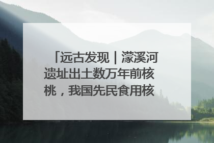 远古发现｜濛溪河遗址出土数万年前核桃，我国先民食用核桃历史大幅提前