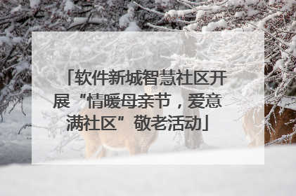软件新城智慧社区开展“情暖母亲节，爱意满社区”敬老活动