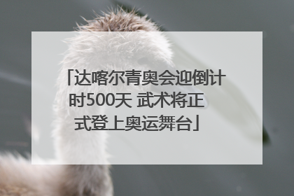 达喀尔青奥会迎倒计时500天 武术将正式登上奥运舞台