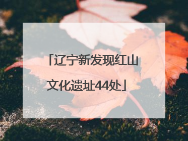 辽宁新发现红山文化遗址44处