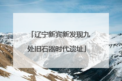 辽宁新宾新发现九处旧石器时代遗址