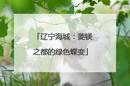 辽宁海城：菱镁之都的绿色蝶变