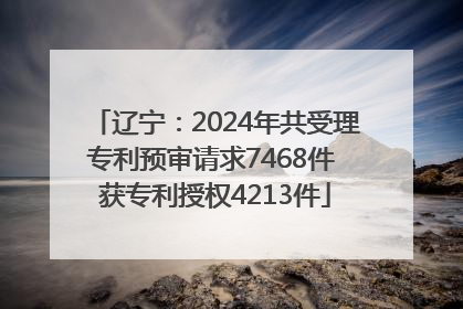 辽宁：2024年共受理专利预审请求7468件 获专利授权4213件