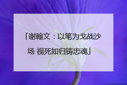 谢翰文：以笔为戈战沙场 视死如归铸忠魂