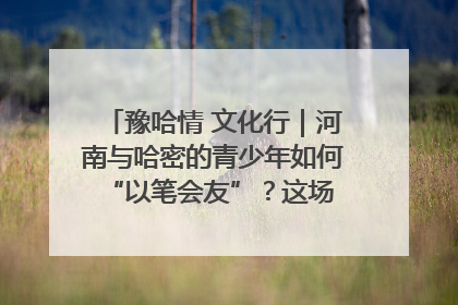 豫哈情 文化行｜河南与哈密的青少年如何 “以笔会友”？这场书画展藏着答案