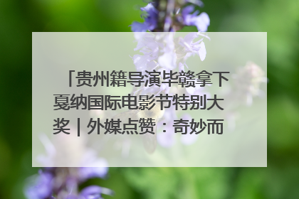 贵州籍导演毕赣拿下戛纳国际电影节特别大奖｜外媒点赞：奇妙而广阔的纯粹电影梦