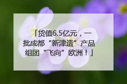 货值6.5亿元，一批成都“新津造”产品组团“飞向”欧洲！