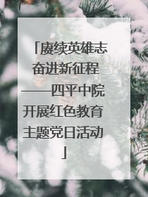 赓续英雄志 奋进新征程——四平中院开展红色教育主题党日活动