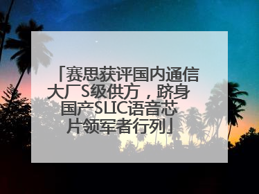 赛思获评国内通信大厂S级供方，跻身国产SLIC语音芯片领军者行列
