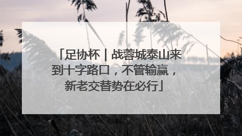 足协杯｜战蓉城泰山来到十字路口，不管输赢，新老交替势在必行