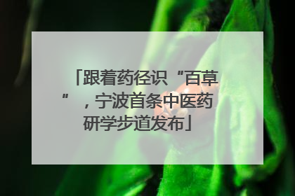 跟着药径识“百草”，宁波首条中医药研学步道发布
