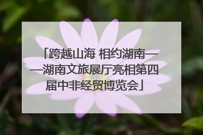 跨越山海 相约湖南——湖南文旅展厅亮相第四届中非经贸博览会