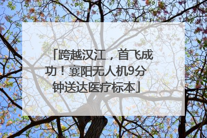 跨越汉江，首飞成功！襄阳无人机9分钟送达医疗标本