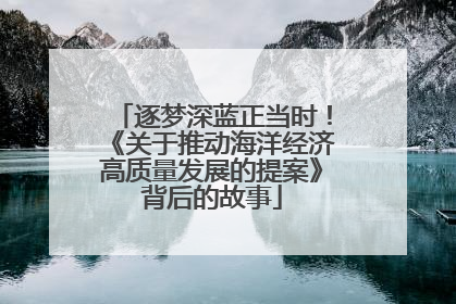 逐梦深蓝正当时！《关于推动海洋经济高质量发展的提案》背后的故事