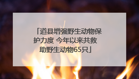 道县增强野生动物保护力度 今年以来共救助野生动物65只