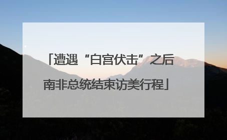 遭遇“白宫伏击”之后 南非总统结束访美行程