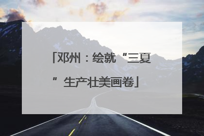 邓州：绘就“三夏”生产壮美画卷