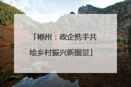 郴州：政企携手共绘乡村振兴新图景