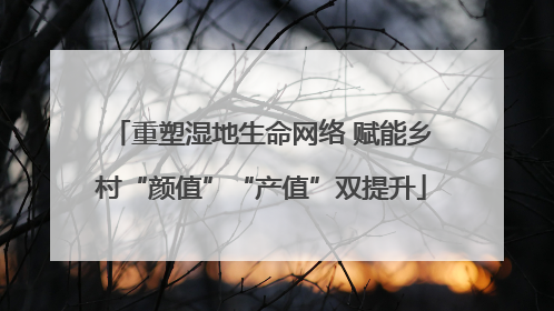 重塑湿地生命网络 赋能乡村“颜值”“产值”双提升
