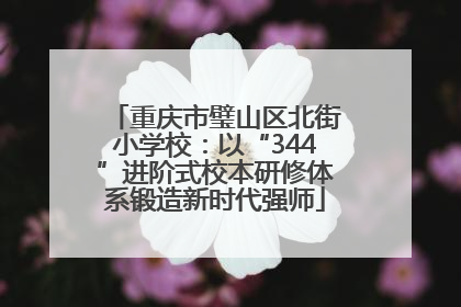 重庆市璧山区北街小学校：以“344”进阶式校本研修体系锻造新时代强师