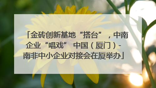 金砖创新基地“搭台”，中南企业“唱戏” 中国（厦门）-南非中小企业对接会在厦举办