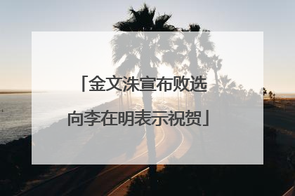 金文洙宣布败选 向李在明表示祝贺