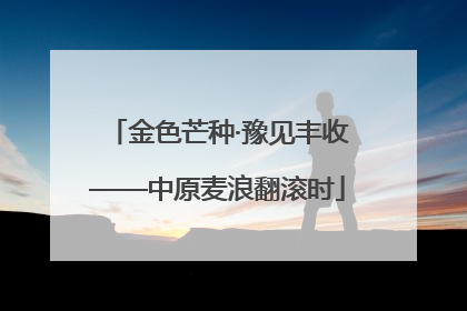 金色芒种·豫见丰收——中原麦浪翻滚时