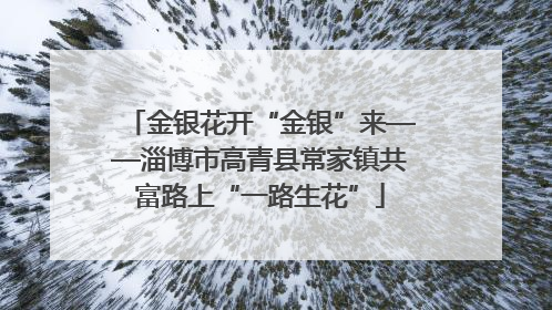 金银花开“金银”来——淄博市高青县常家镇共富路上“一路生花”