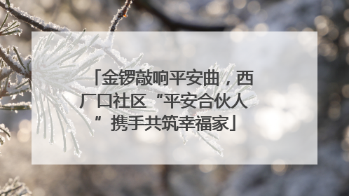 金锣敲响平安曲，西厂口社区“平安合伙人”携手共筑幸福家