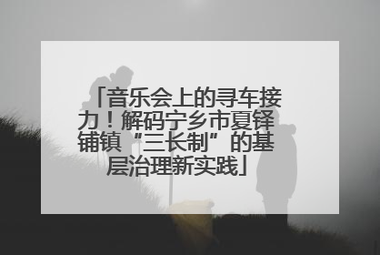 音乐会上的寻车接力！解码宁乡市夏铎铺镇“三长制”的基层治理新实践
