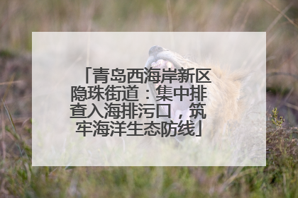青岛西海岸新区隐珠街道：集中排查入海排污口，筑牢海洋生态防线