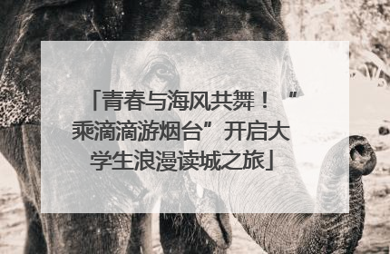 青春与海风共舞！“乘滴滴游烟台”开启大学生浪漫读城之旅