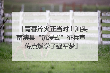 青春淬火正当时！汕头南澳县“沉浸式”征兵宣传点燃学子强军梦