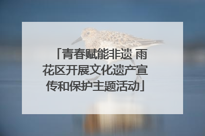 青春赋能非遗 雨花区开展文化遗产宣传和保护主题活动