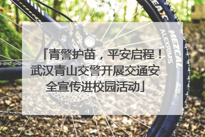 青警护苗，平安启程！武汉青山交警开展交通安全宣传进校园活动
