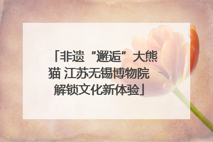 非遗“邂逅”大熊猫 江苏无锡博物院解锁文化新体验