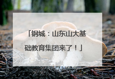 钢城：山东山大基础教育集团来了！