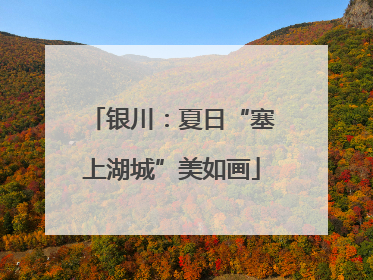 银川：夏日“塞上湖城”美如画