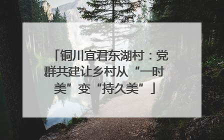 铜川宜君东湖村：党群共建让乡村从“一时美”变“持久美”