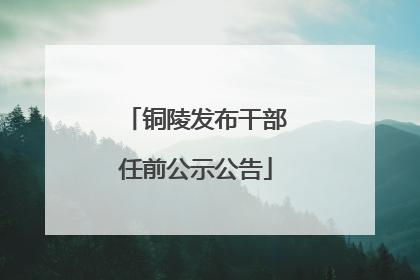 铜陵发布干部任前公示公告