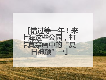 错过等一年！来上海这些公园，打卡莫奈画中的“夏日神颜”→