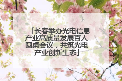 长春举办光电信息产业高质量发展百人圆桌会议，共筑光电产业创新生态
